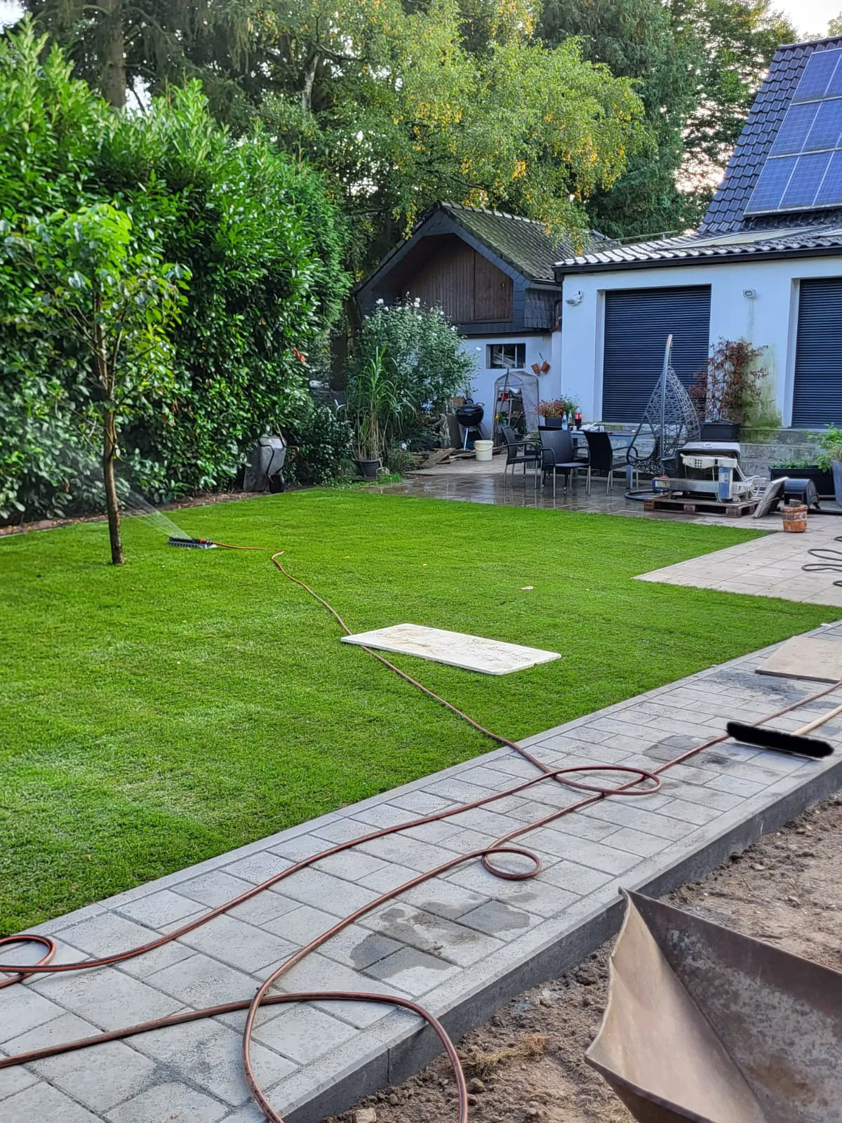 Neu angelegter Rasen mit angrenzendem Pflasterweg und Terrasse