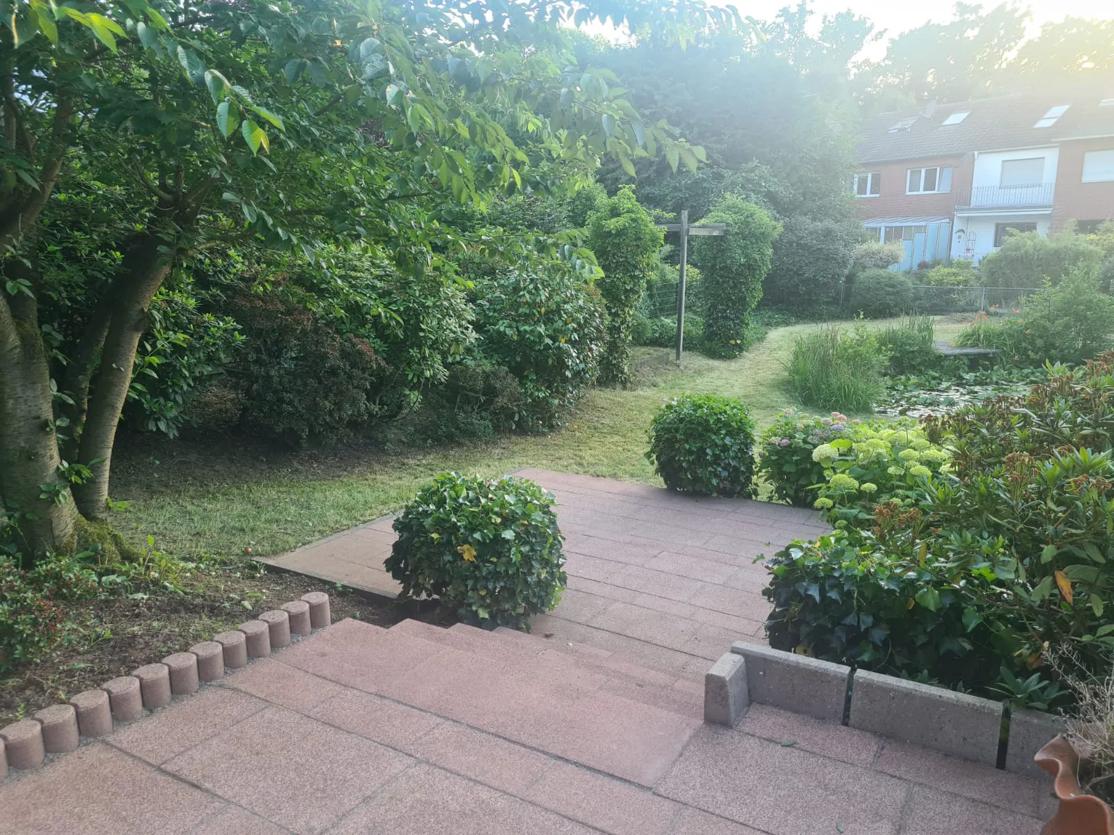 Terrassenbau mit Pflasterstufen und gepflegten Hecken um einen Teich auf einer Terrasse im Privatgarten