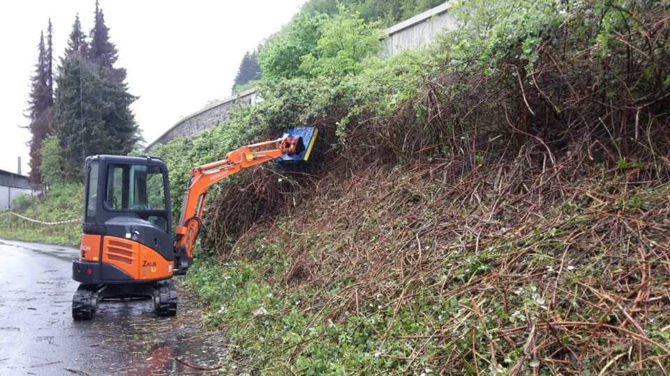 Mini-Bagger beim Entfernen von Gestrüpp an Böschung im Rahmen von Gartenarbeiten