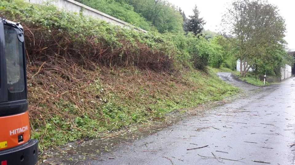 Bagger bei Gartenarbeiten an Böschung, freigeräumter Unterwuchs und Äste auf nassem Straßenbelag