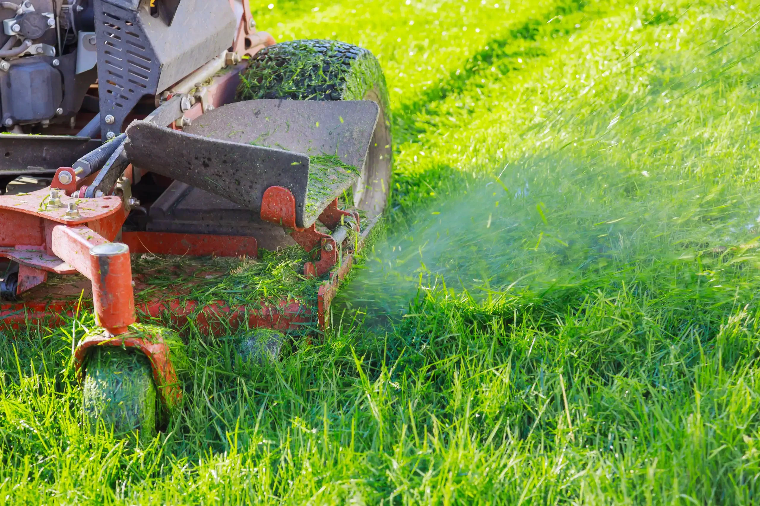 Aufsitzmäher mäht dichtes Gras und verteilt Schnittgut auf grünem Rasen
